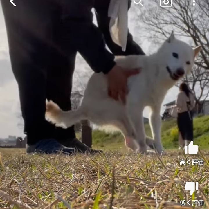 E918e6ac 5c3e 45da 9f33 58388e8e1e0a 1678904777612