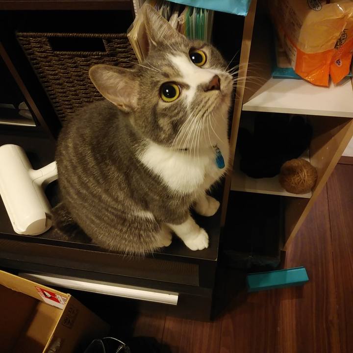 E918e701 0dd3 443b a890 6549fb221724 1582210032694