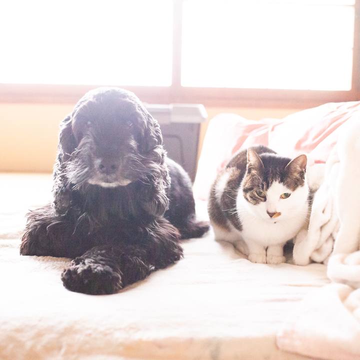 E9193f95 24f7 4506 ab6f bfa02ac2d948 1552699164543