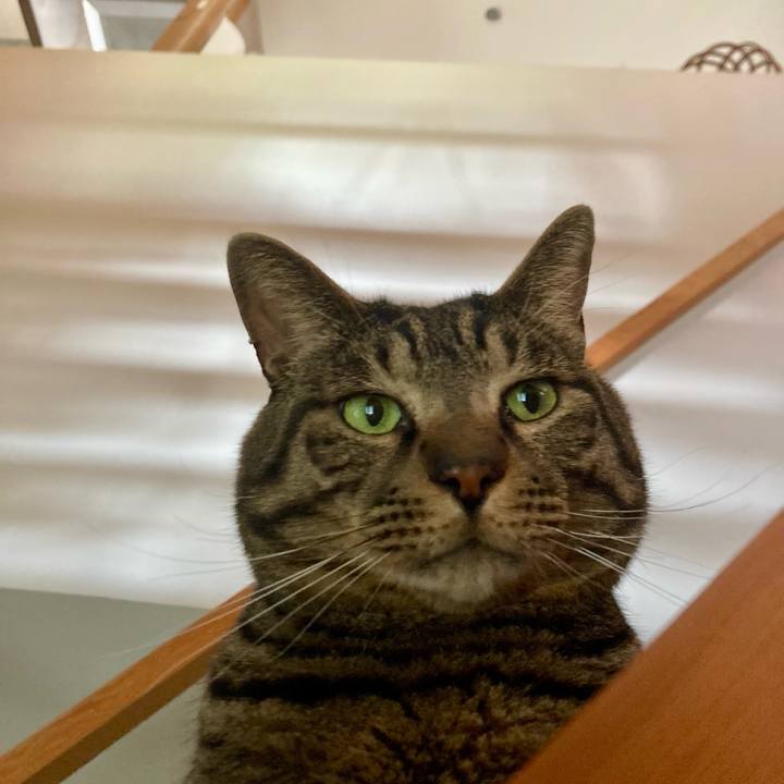 E9197460 7b9a 40b3 8a00 3d201d733825 1712964086996