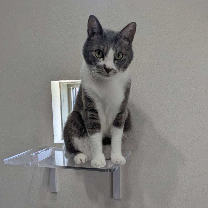 E919c9ad f843 4b3e a870 3decdc372c59 1757209720927