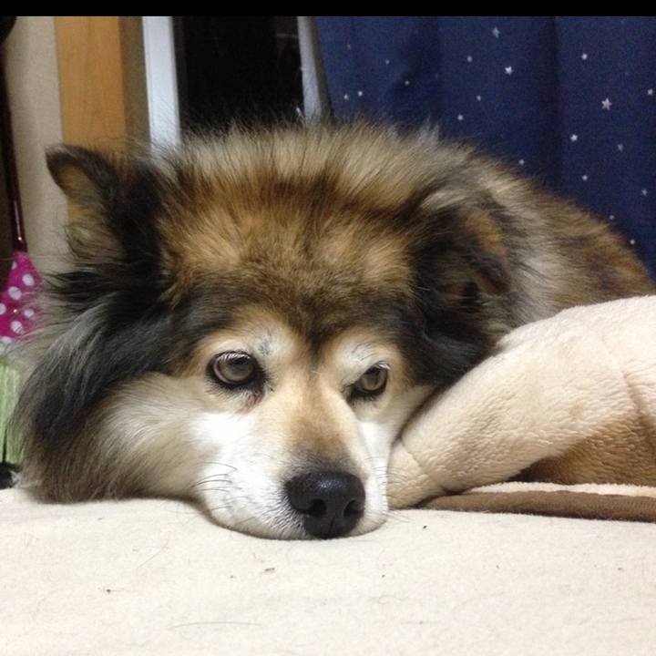 E91a45fa 3a92 45f4 9001 553512fe38d2 1637550479806