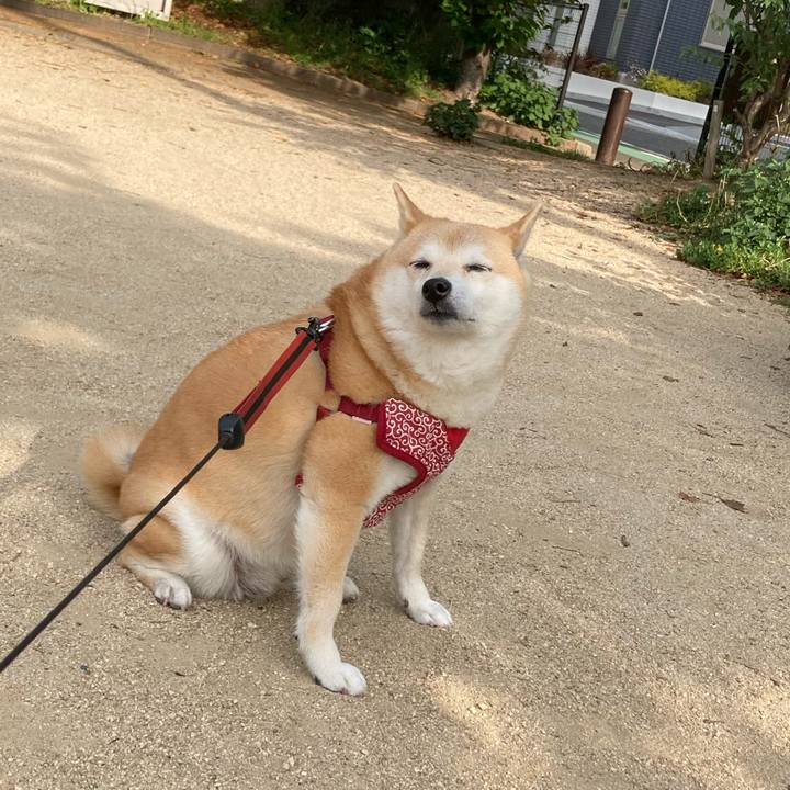 E91a6b5e ef8d 4ee7 8b3d 7f952adbc07d 1620689231835