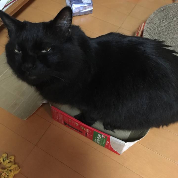 E91a9cc7 6d9d 49fe 8107 bad9d782ecd2 1529672842993