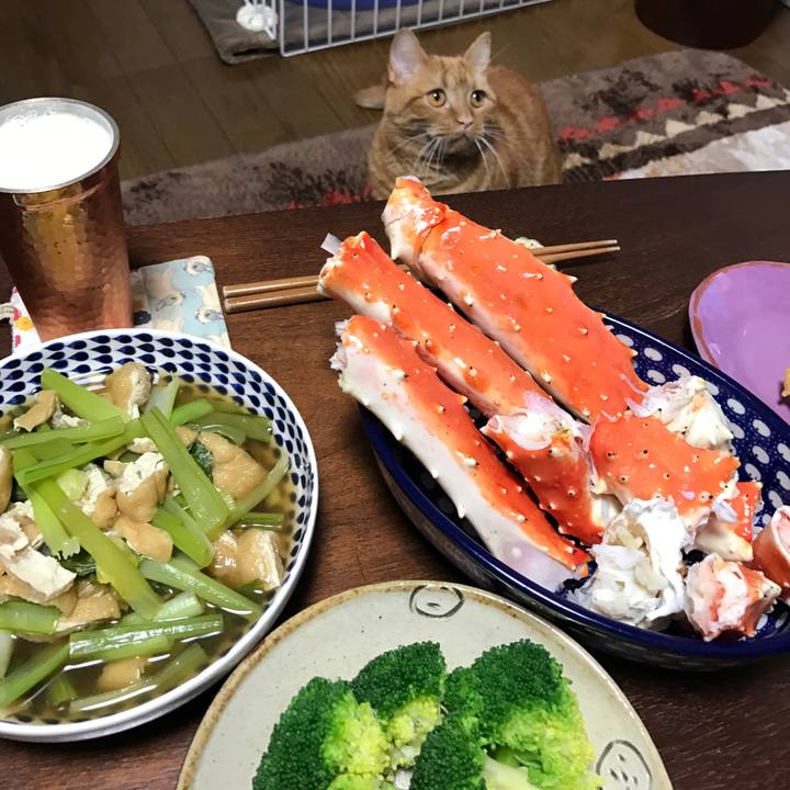 E91abc23 3cf6 47e9 a963 adc6fb1d59fe 1521977823657