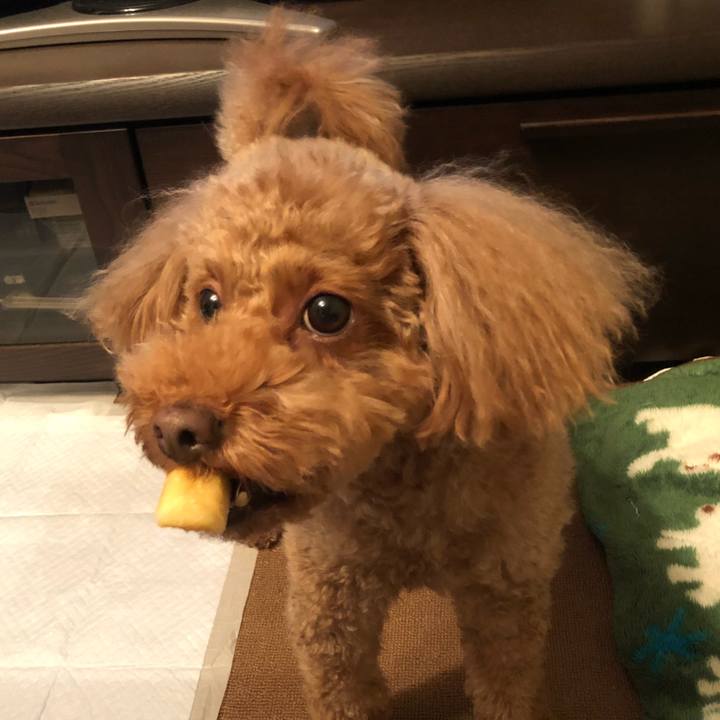 E91af882 dad6 4f9a b304 76e6a82efbf2 1511578808912