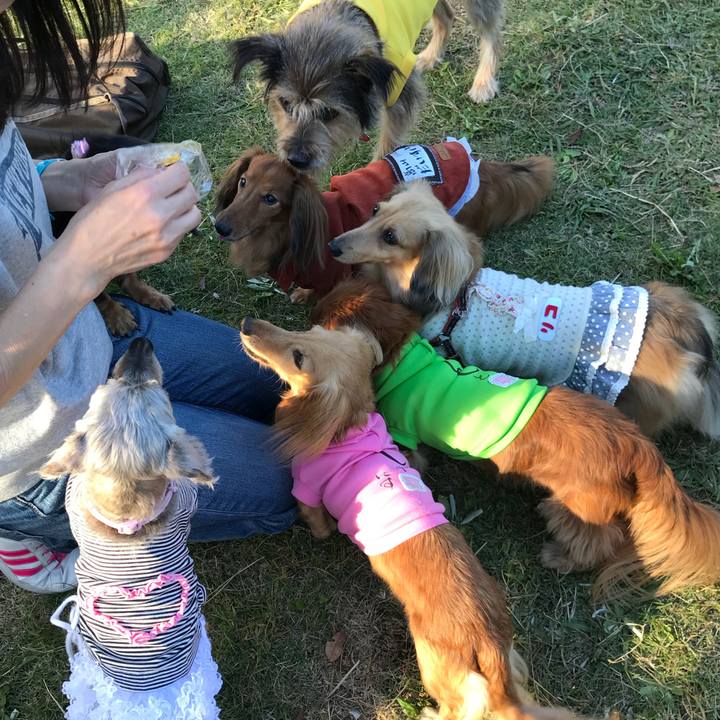 E91b2e4b 4b47 47da ab79 5546971ed07c 1509697409944