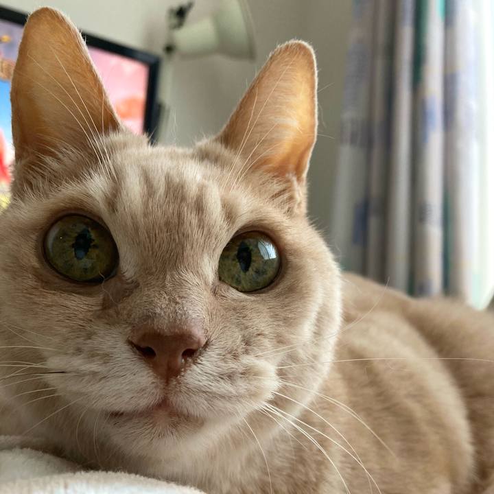 E91b3f53 7834 4fb0 8c29 91d9d73c6089 1759062793481