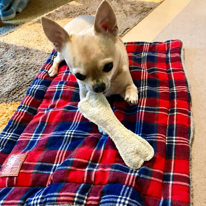 E91b4aaa 56dc 4b1e 8676 07ac12255f71 1516415328265