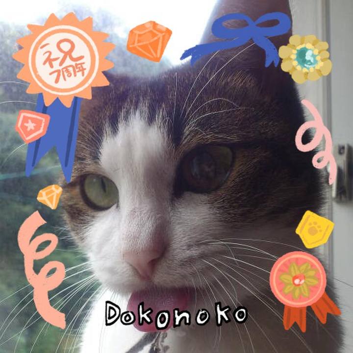 E91b7095 72a0 4c76 b403 ea1ef80e2cbd 1685963885941