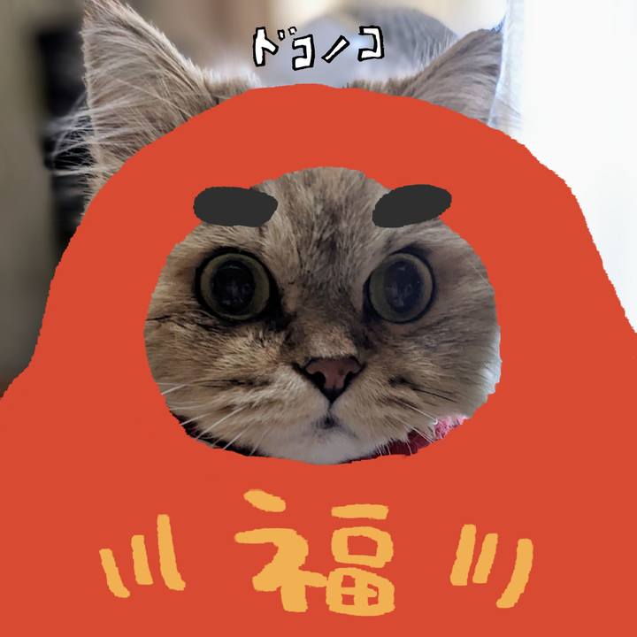 E91b766d 79e0 496e bde2 da6823f6e25f 1772062666014