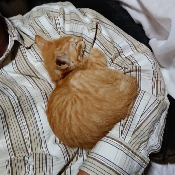 E91b9884 58fa 42f6 b326 5a195fb2cabe 1628944126907