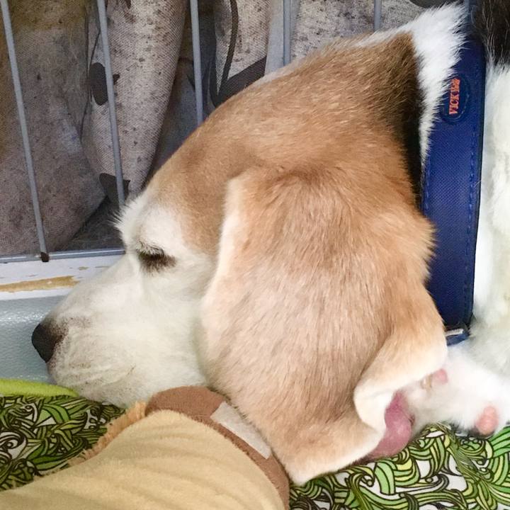 E91b9bcb 7a40 47ec b839 7168e1430f04 1761639422226