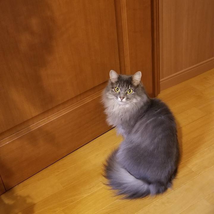 E91bf058 1fb2 4398 9219 aabfcb01cd99 1544099992211