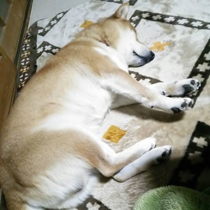 E91bf24b 943d 4300 bcb5 8c93e2f768a8 1515238139287