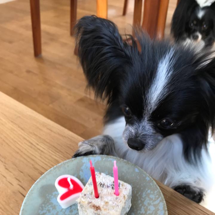 E91bf2c0 5c85 4813 b95d b78686450e34 1523391360396