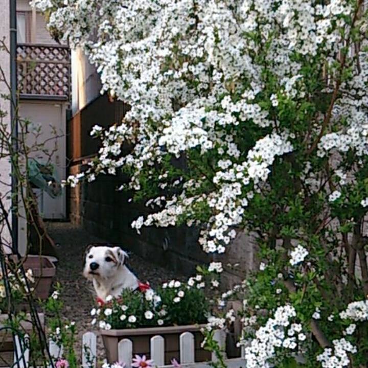 E91c0621 06f4 46e9 9273 ad89b644f6a1 1614735024207