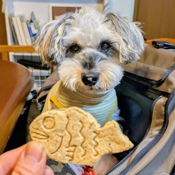 E91c0a1f 080b 45d6 a3f7 bc8663ab0635 1763517785164