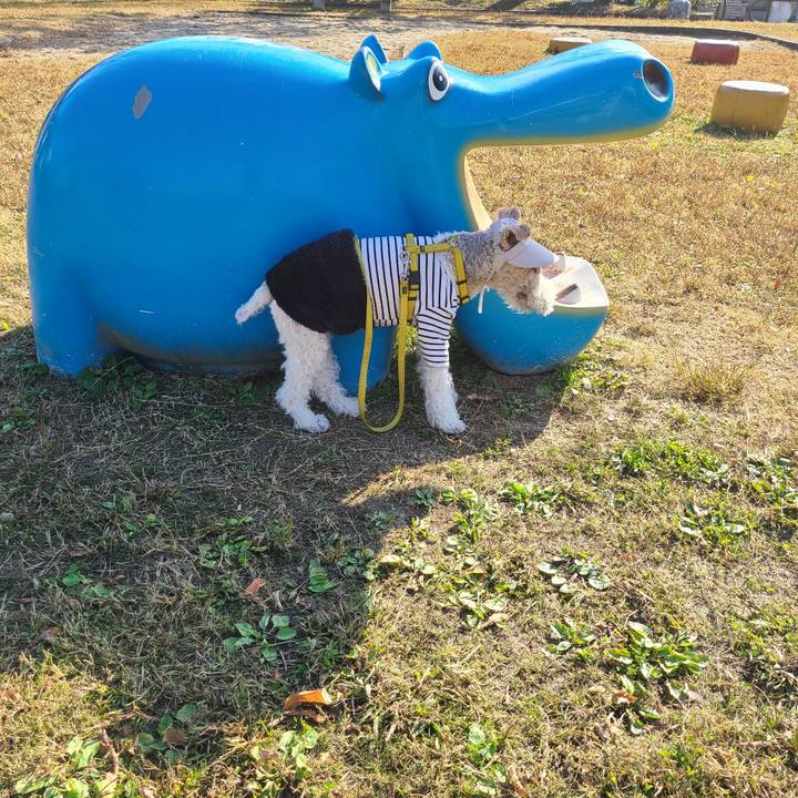 E91c0bdc 25ad 4376 9880 efc047b39a74 1670753529278