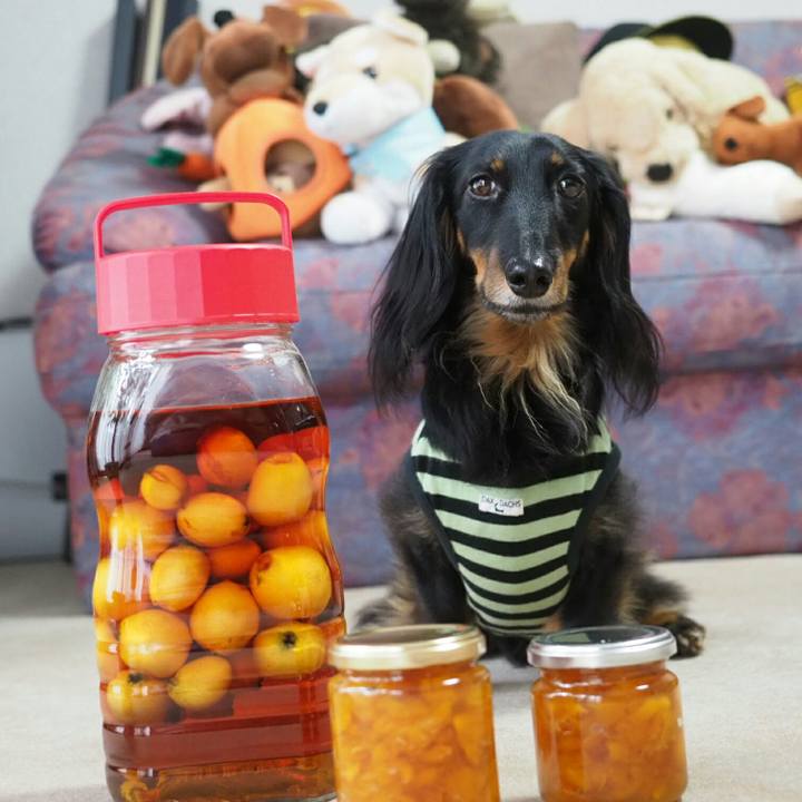 E91c2f9e 54a3 4c06 94e9 9c57b6c8d7c7 1560572227361