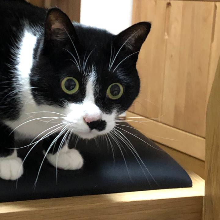 E91c30e9 78f1 44df 89db 895496fb71b5 1545393437696