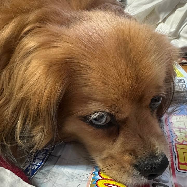 E91c43c5 cacb 48f3 89ed 47ba7975d9fb 1687207354845