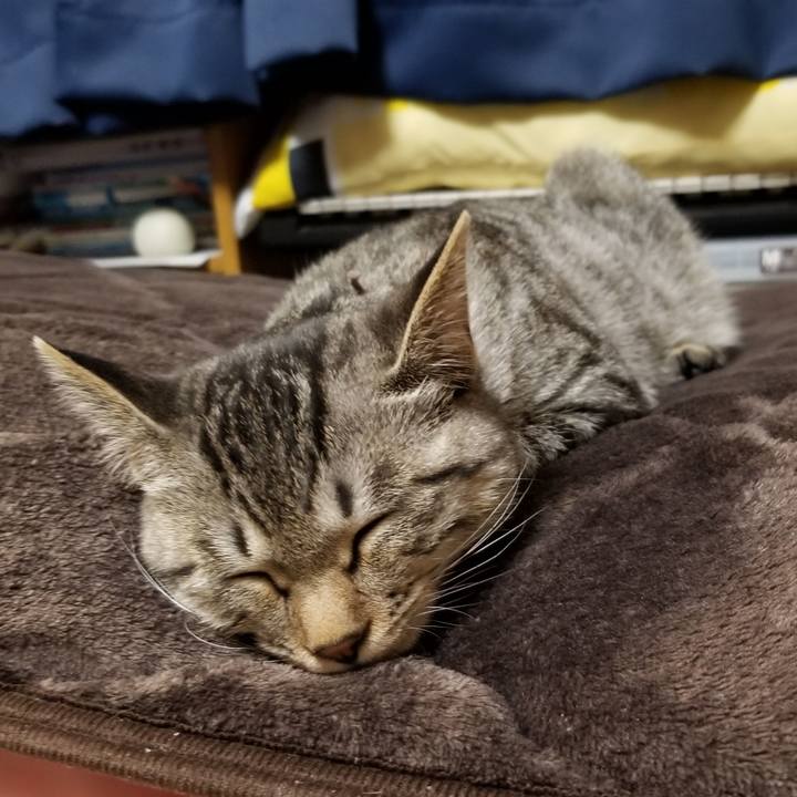 E91c533d 0a1e 4138 94a1 0aa0c243ed21 1668094918158