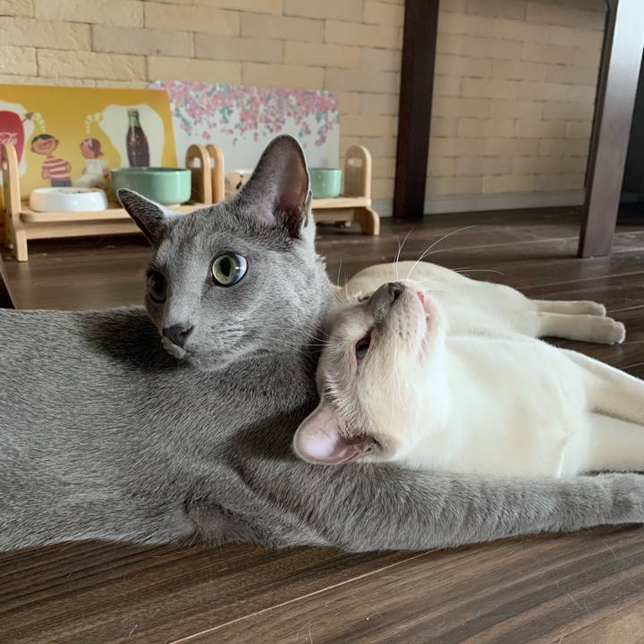 E91c7352 9fa8 4b25 9f73 3c2129614631 1736305965285