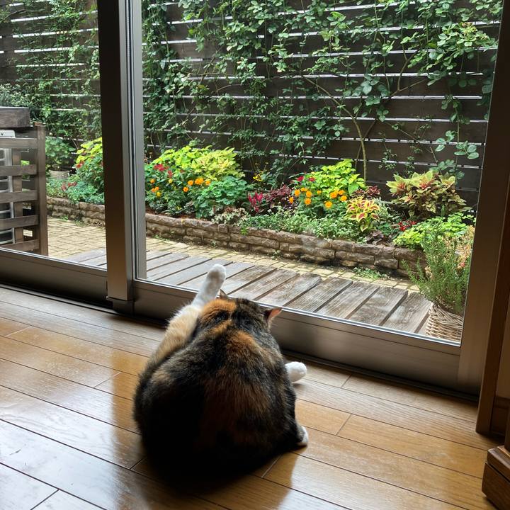 E91cad46 38f2 4df7 8e90 fd185c0ae86f 1759455452562