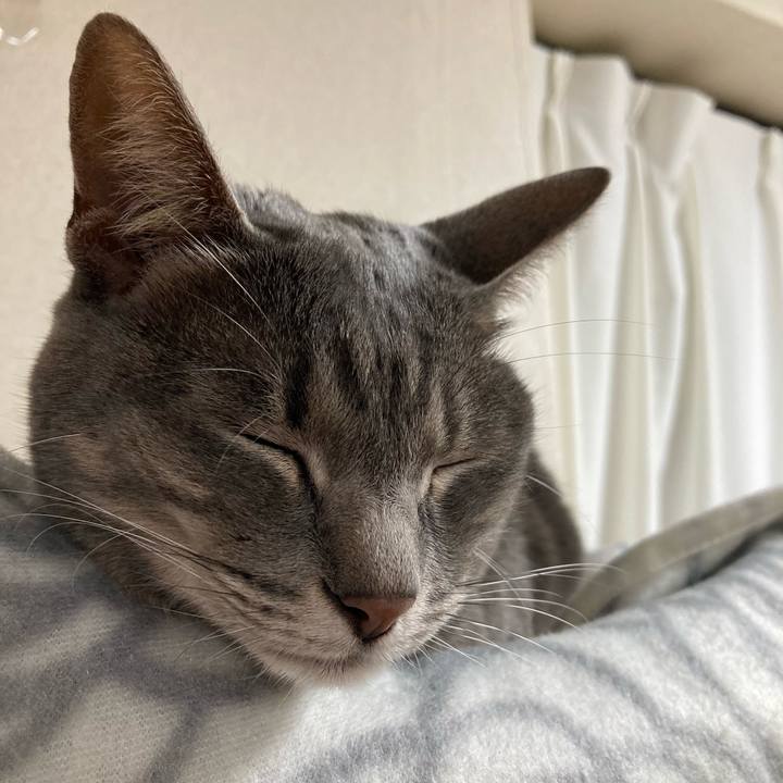 E91cc246 8a63 4c76 ad82 ff3cb585249f 1647446628145