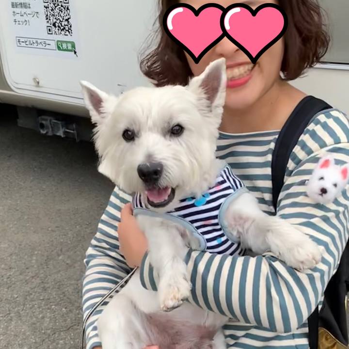 E91cdb3d fe77 49cf 8020 207b111d1029 1569150878319