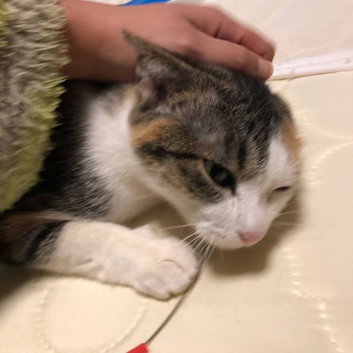 E91cdfce dd4f 4cd4 ad5d 2f622b6e8e6c 1575806007402