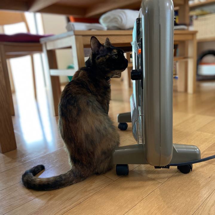 E91cf0ff 982c 4eff 87d1 98724fdc333f 1608864504326