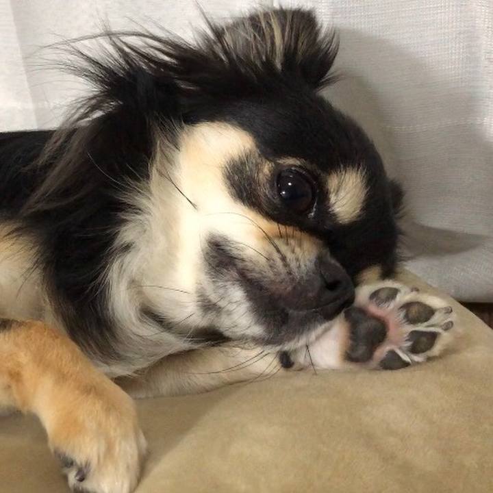 E91cf7f7 5780 41df bbee 3e094cf09b5f 1600701740899