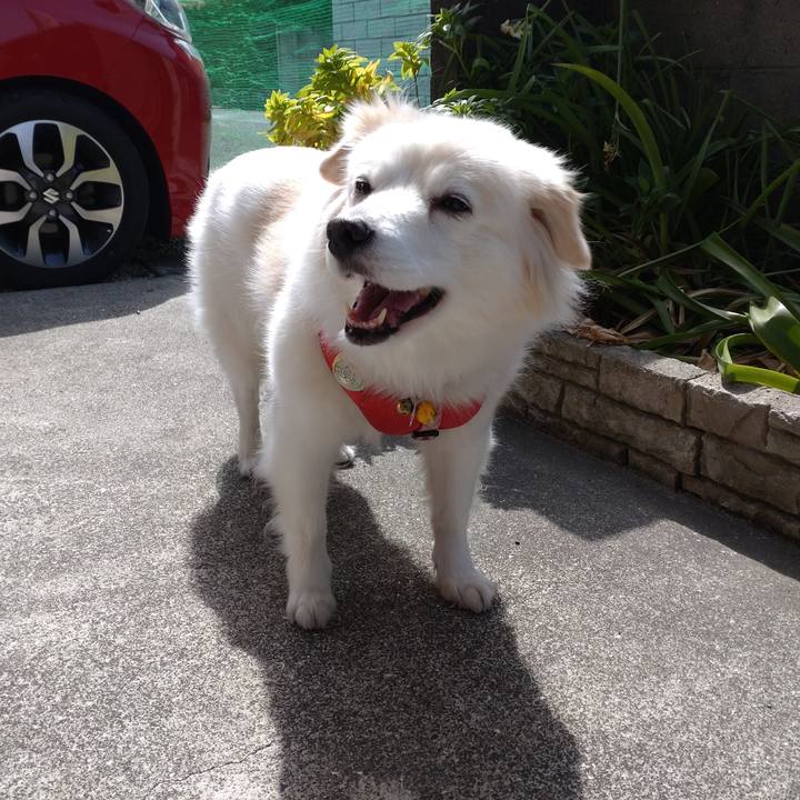 E91d1fc2 1226 47cb 8ceb c33b86a6063c 1646451334332