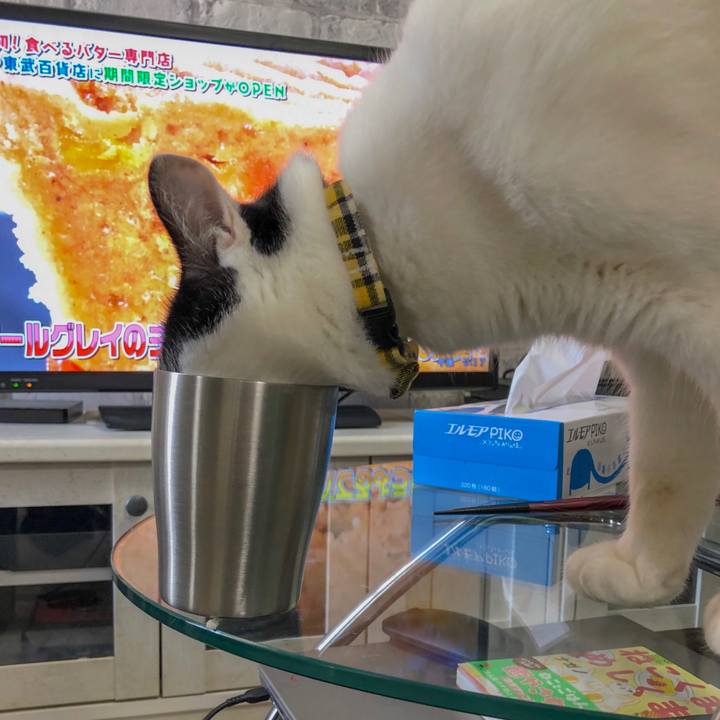 E91d38a8 c6ee 4799 8315 8830526533b2 1551799067036