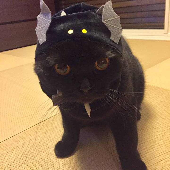 E91d63e9 5132 4ff1 bda9 5524a6414570 1509194005580