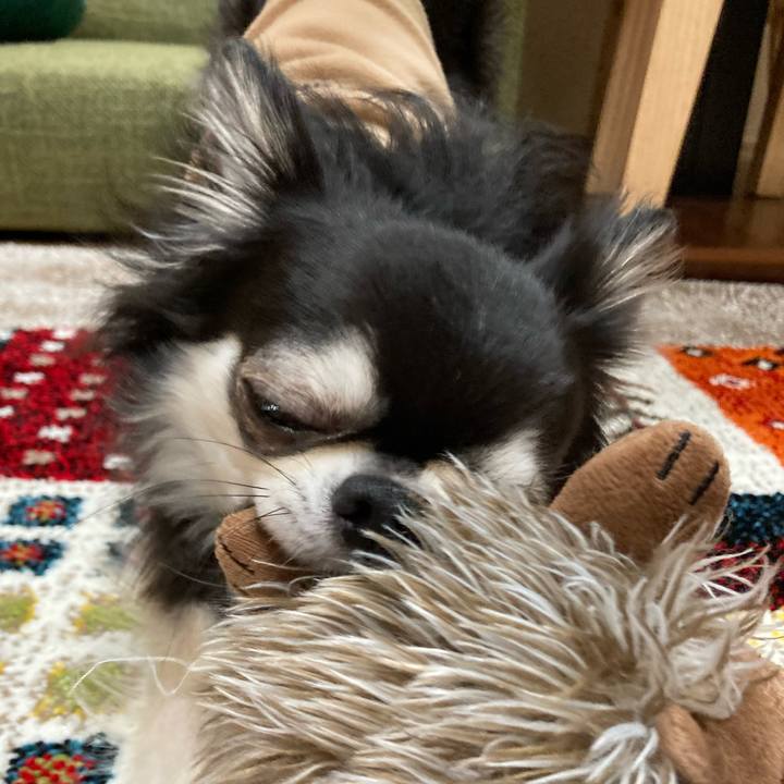 E91da474 12e9 407d 9112 8a0729e1172d 1680365004584