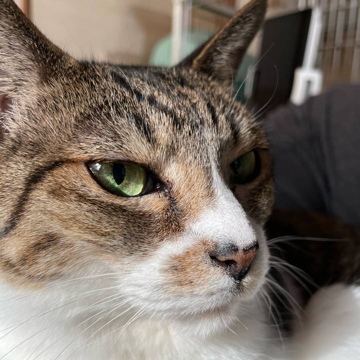 E91e0d02 41a4 46c7 a779 59bad4c7f79a 1638323582772