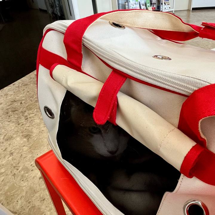 E91e16a4 9bed 4544 b5aa bb4eafa71d6d 1686383767709