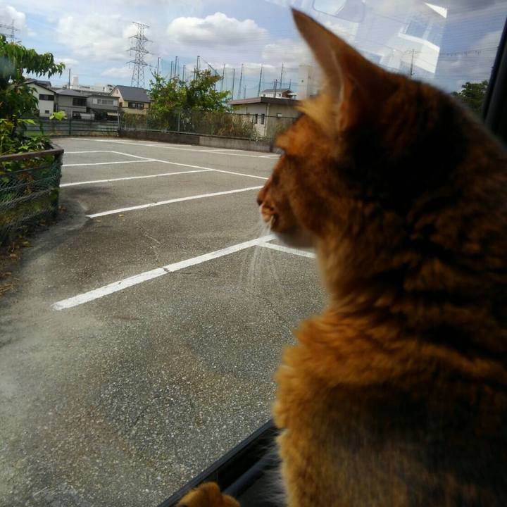 E91e2933 2b67 4416 95a6 45435ad33f3d 1565580400968