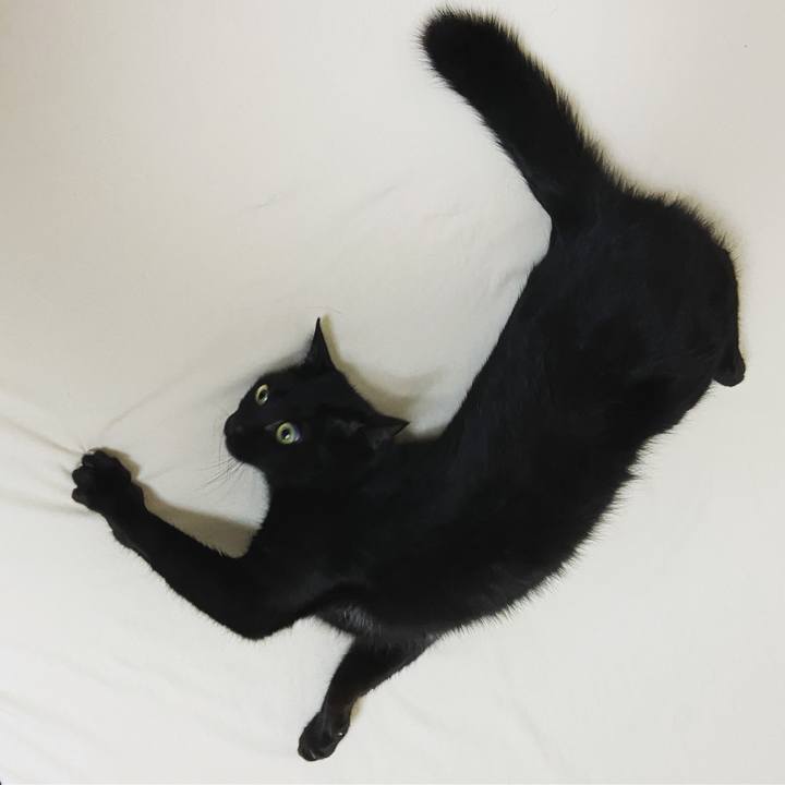 E91e2ad9 c43c 4565 8295 d482e1e01aeb 1677237536108