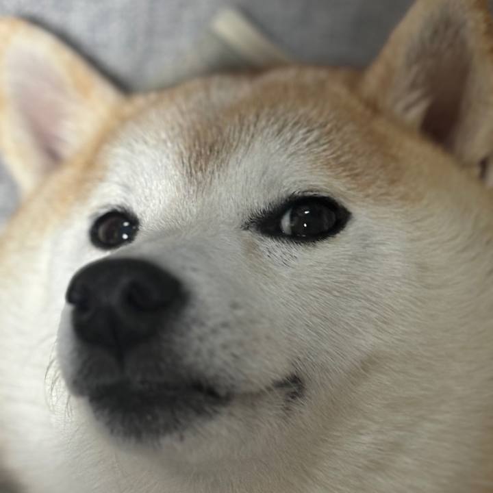 E91e2b3f 0c9f 442a 92c7 34cf75ac830a 1732230049245