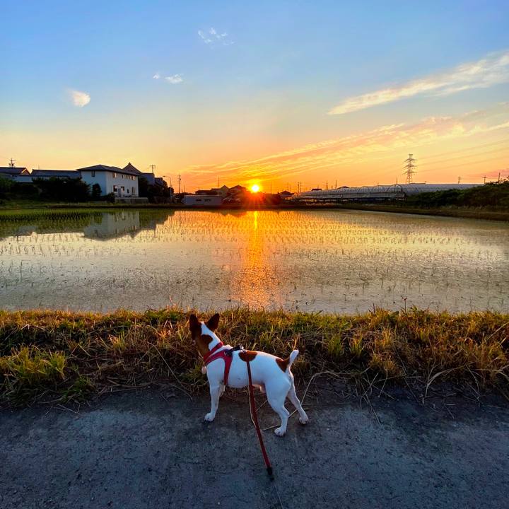 E91e2e0b 0c76 46e9 a501 11935147e29d 1590755423915