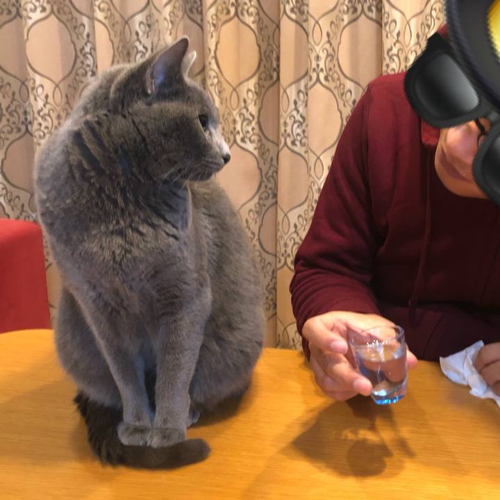 E91e30a2 0b49 4170 b8ed 3a30370f3158 1578657077279