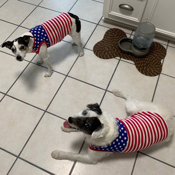 E91e6ea8 2e92 4d74 a9a8 40857dcff922 1593901222588