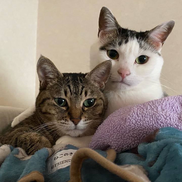 E91e78fa 73f6 4b5f 90a8 676963c36357 1773558778555