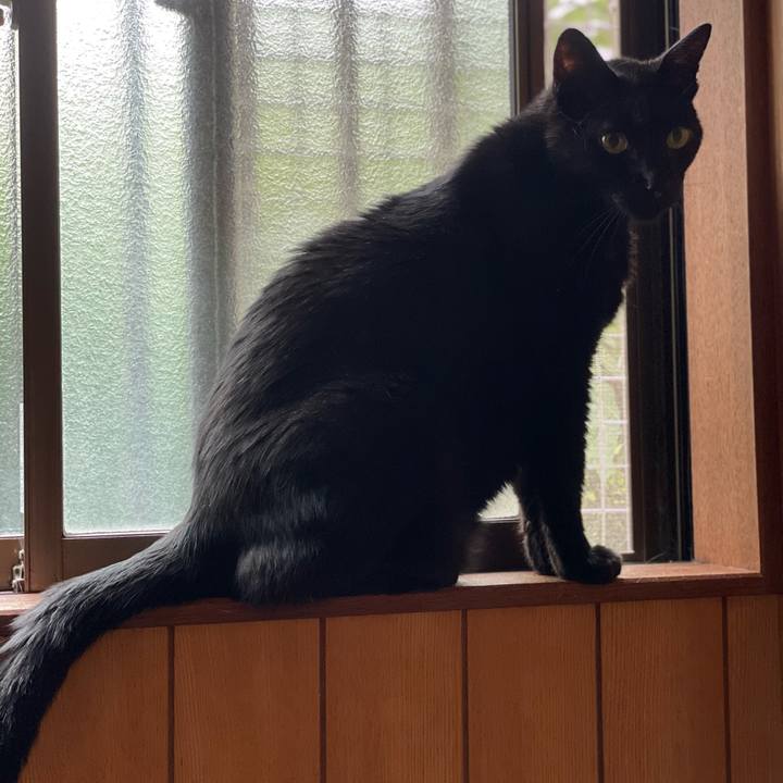 E91e7e29 39e9 44fe 8057 8e9aecb5524d 1660691136495