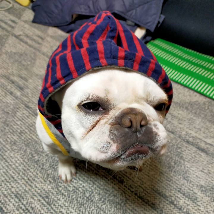 E91eb63e 3831 4225 a5e0 14df2a766be2 1643582148274