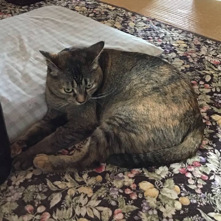 E91ec821 5f6d 468e b177 47ddbc23e71a 1718448422181